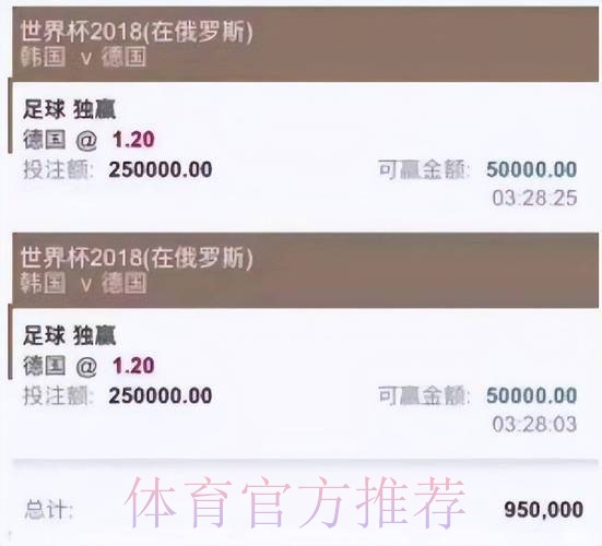 世界杯买球平台最佳选择解析